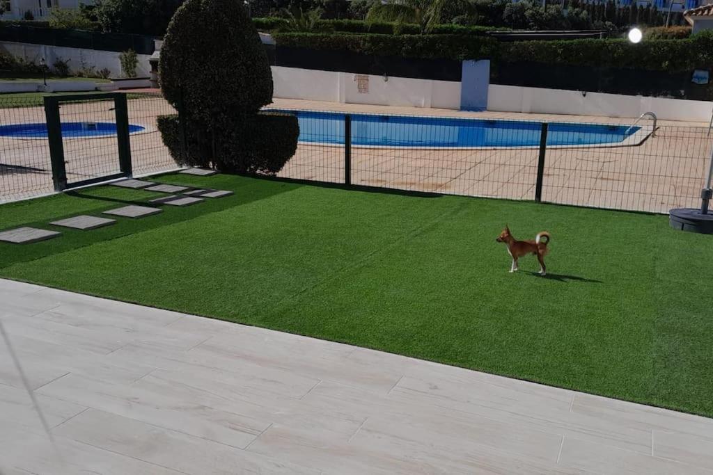 Gale Premium House - Pet Friendly Villa Albufeira Exterior photo
